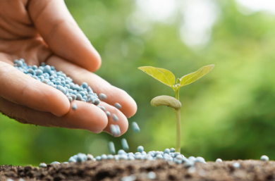 科技賦能綠色農業 山東中新農業發展的生物有機肥料研發探索